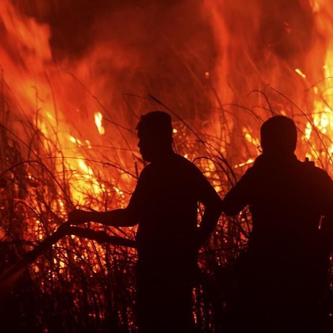 Firefighters battle peatland fires on Indonesia's Sumatra island